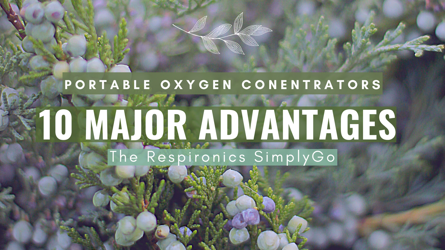 10 Major Advantages of The Respironics SimplyGo Portable Oxygen Concentrator