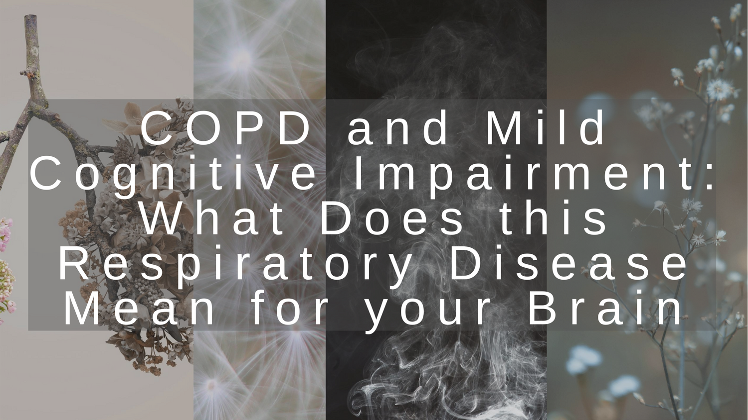 COPD and Mild Cognitive Impairment: What Does This Respiratory Disease Mean for Your Brain