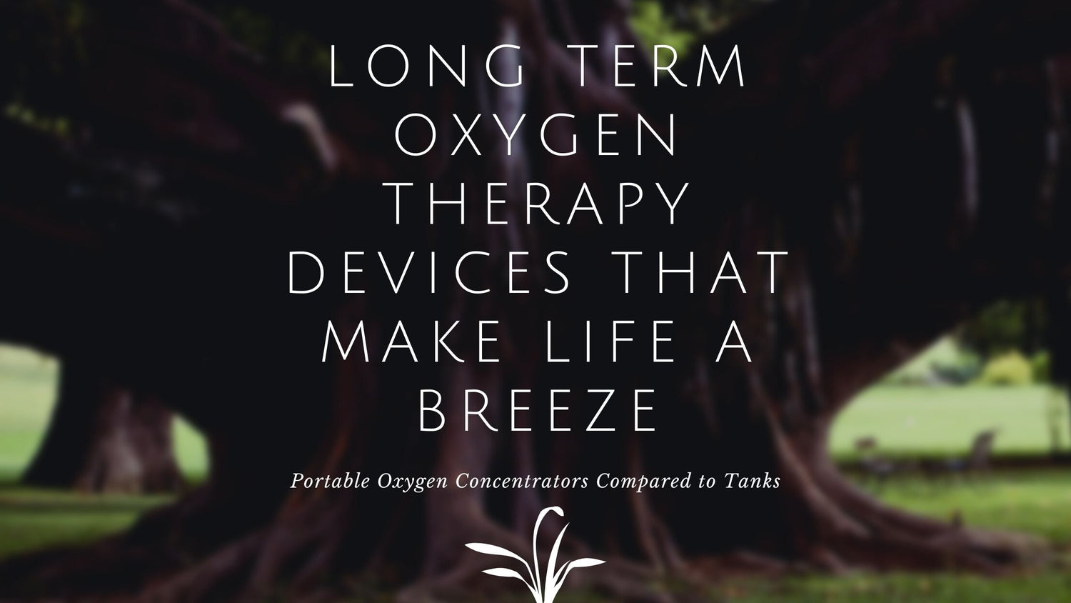 Long Term Oxygen Therapy Devices That Make Life A Breeze