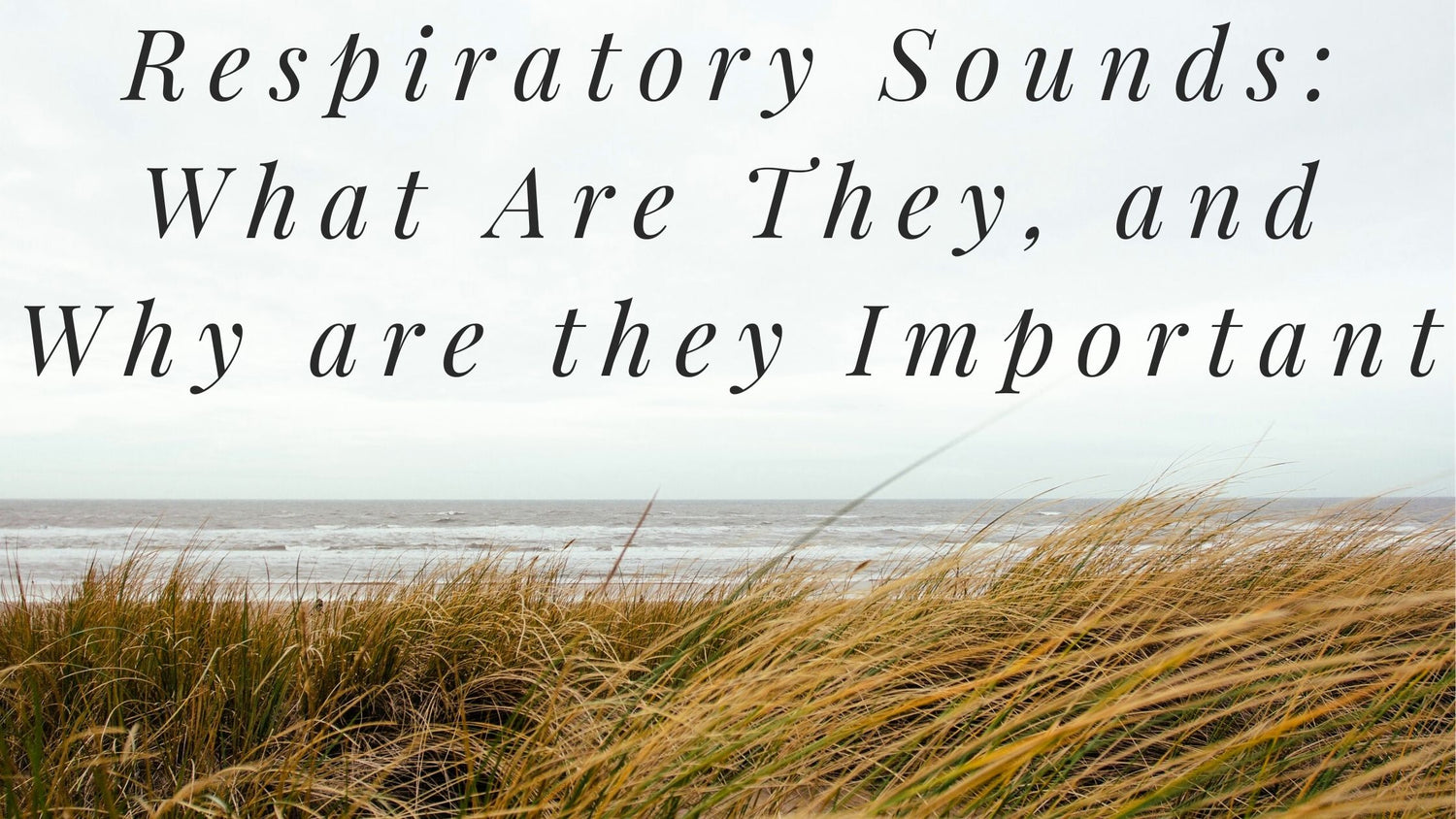 Respiratory Sounds: What Are They and Why is it Important