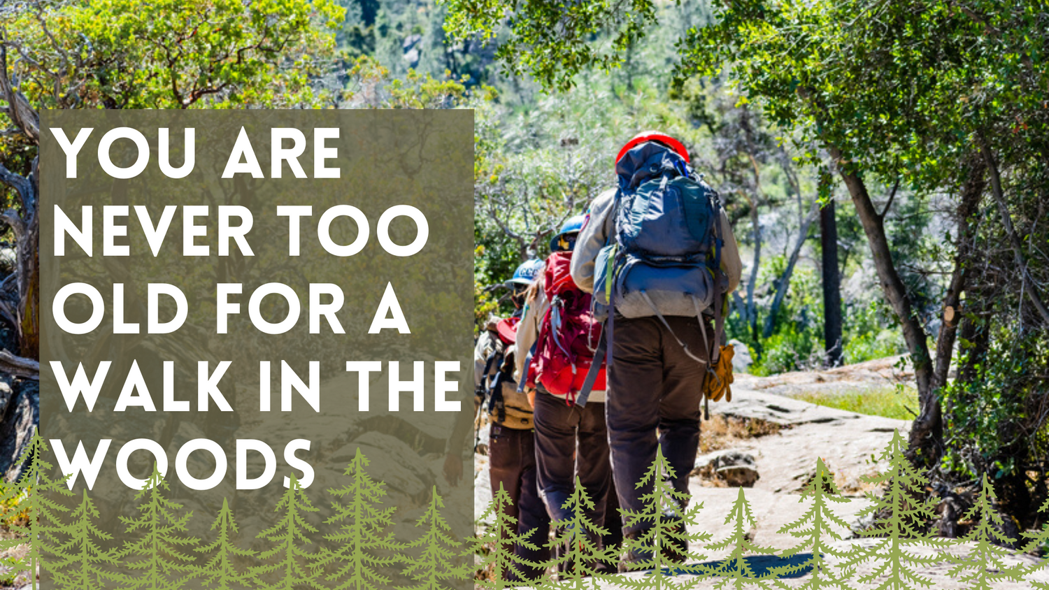 You are Never Too Old for A Walk in the Woods