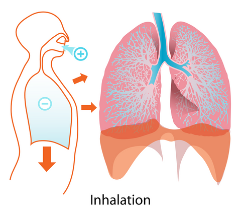 Barrel Chest: What is It and What Does it Mean for COPD Patients?