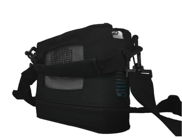 Lifestyle Rhythm P2 Carrying Case