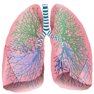 How to Reach Your Treatment Goals with Your COPD Action Plan