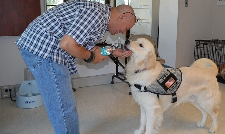 Pet Therapy Can Improve Your Quality of Life with COPD