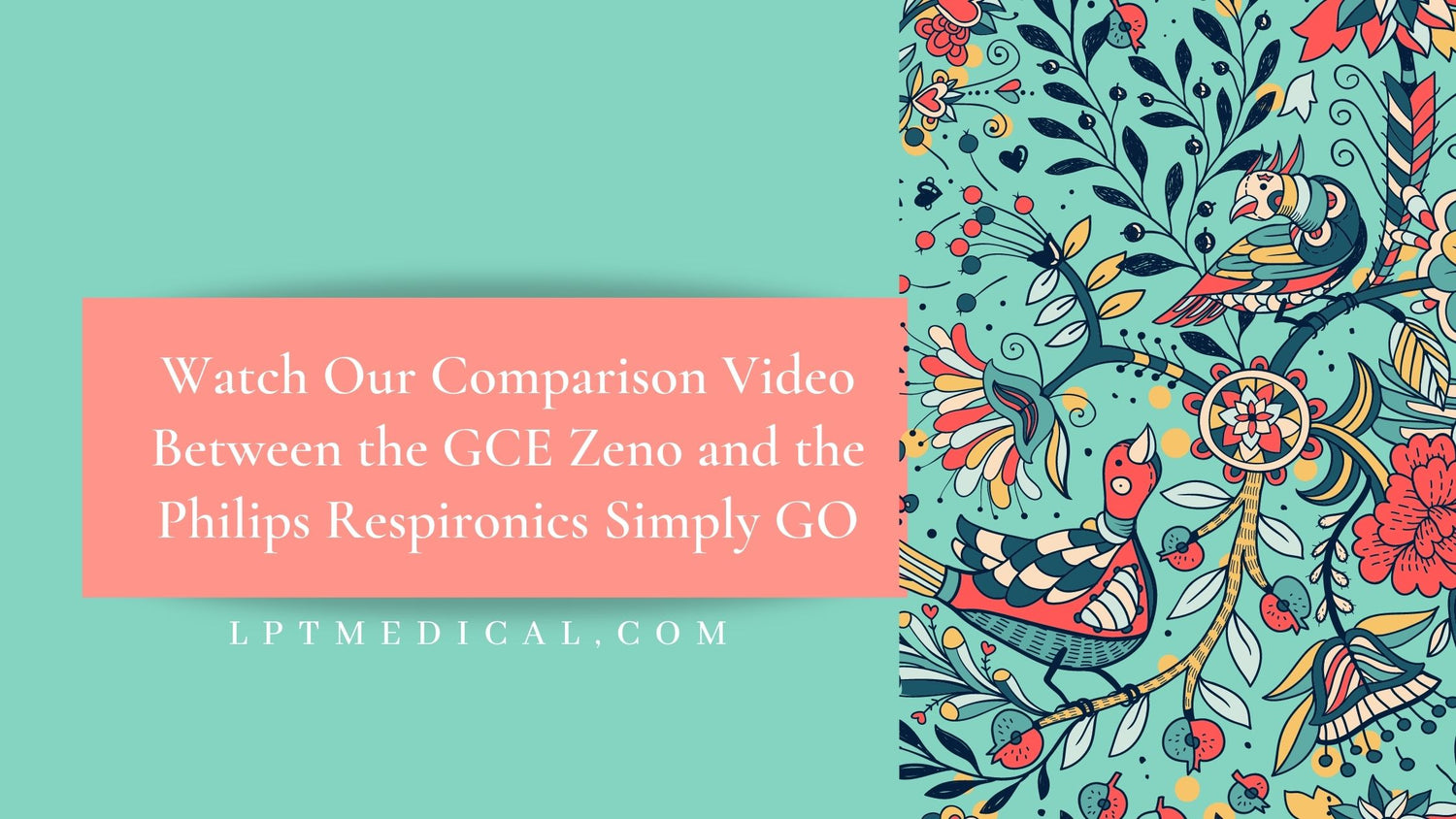 Watch Our Comparison Video Between the GCE Zeno and the Philips Respironics SimplyGo