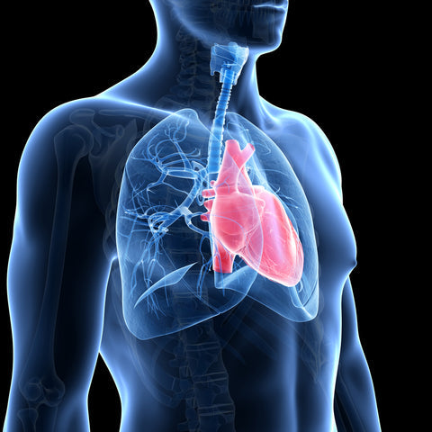 Common COPD Complications and How To Manage Them